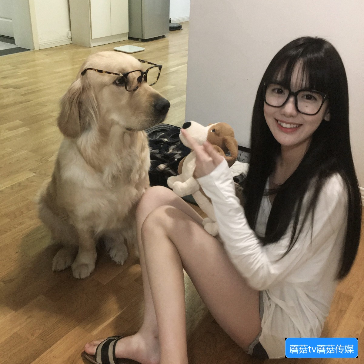 蘑菇TV视频网站怎么使用？常见问题解答与操作指南